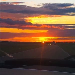 Meet your Posher, Pippa